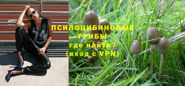 ПСИЛОЦИБИНОВЫЕ ГРИБЫ Армянск