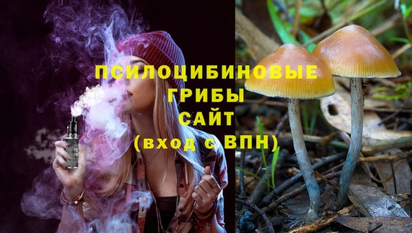 стафф Арсеньев