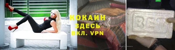 стафф Арсеньев