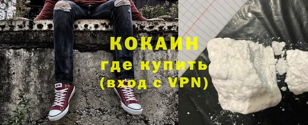 стафф Арсеньев