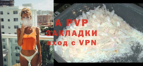 стафф Арсеньев